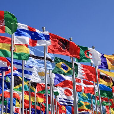 Global flags