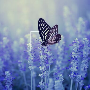 Digital transformation